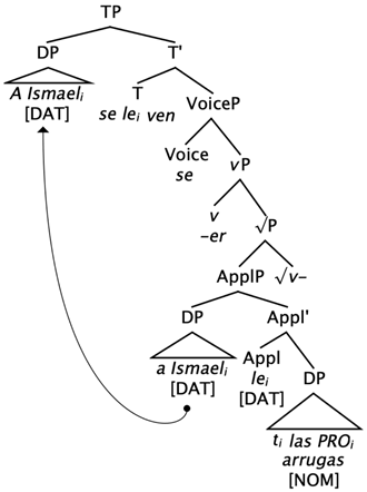 Languages 09 00015 i006