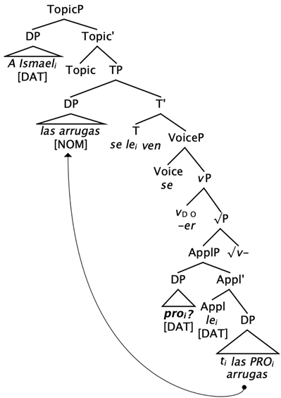 Languages 09 00015 i007