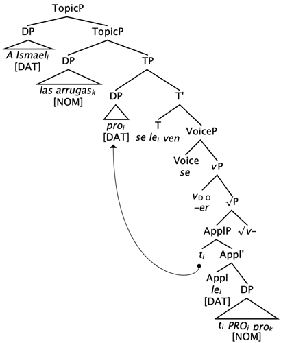 Languages 09 00015 i008