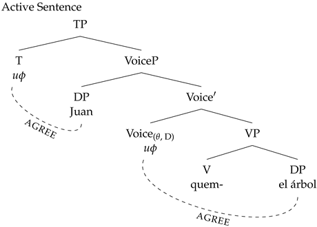 Languages 09 00024 i007