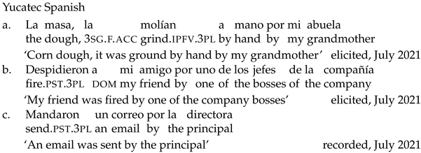 Languages 09 00024 i023