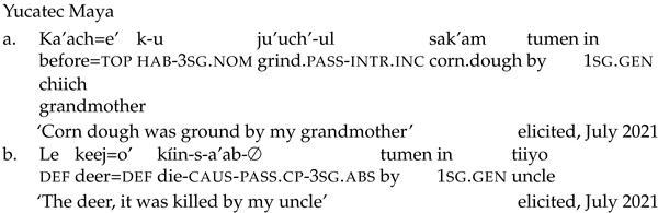 Languages 09 00024 i049