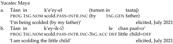 Languages 09 00024 i050