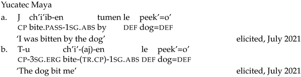 Languages 09 00024 i051