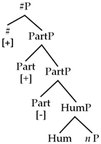 Languages 09 00058 i003