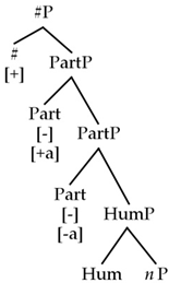 Languages 09 00058 i006