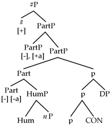 Languages 09 00058 i007