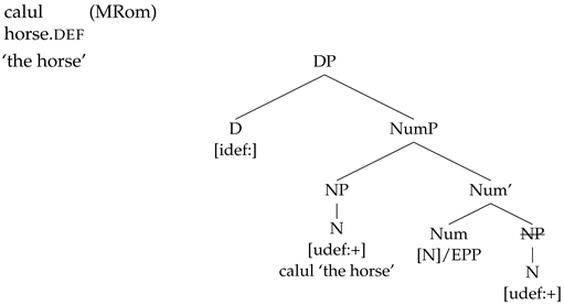 Languages 09 00067 i005