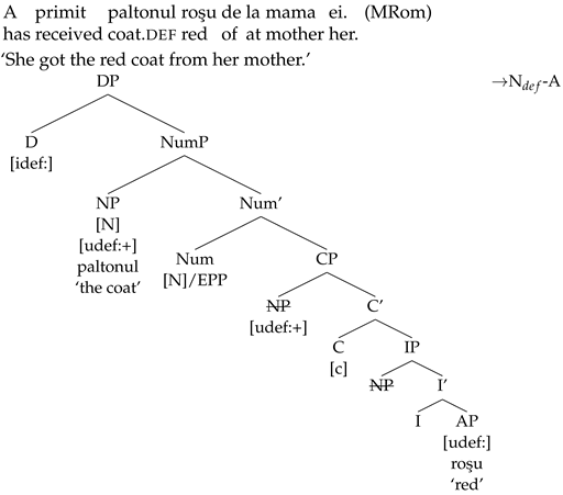 Languages 09 00067 i006