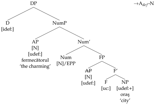 Languages 09 00067 i008