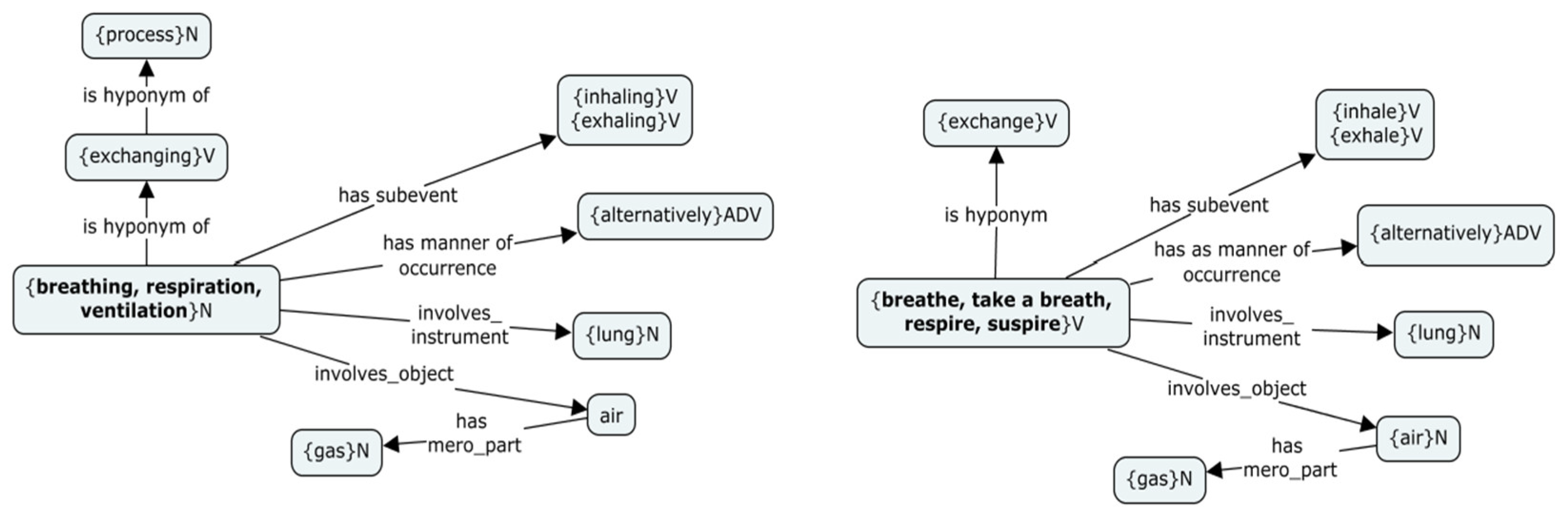 Languages 09 00089 g006