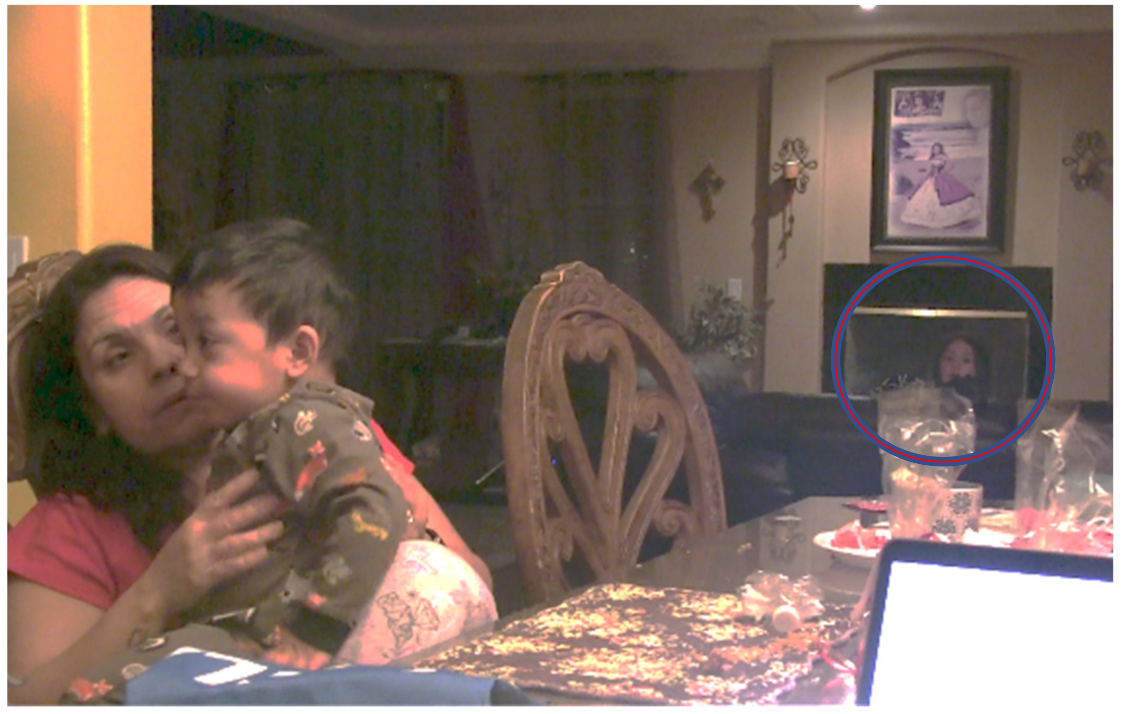 Languages 09 00108 g004