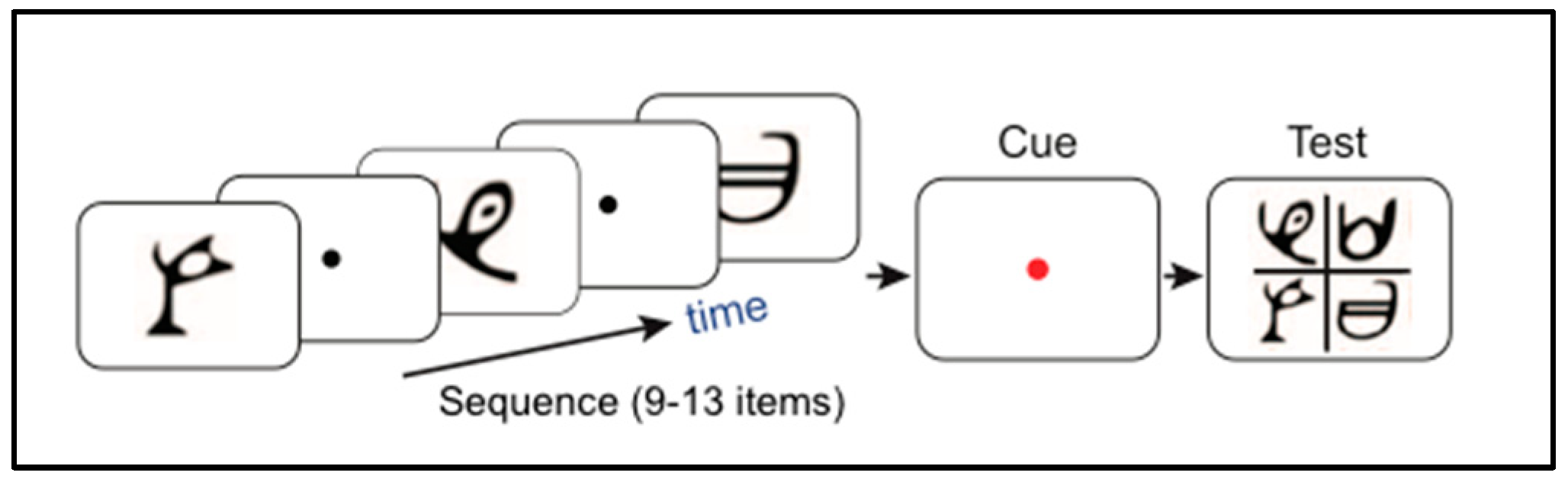 Languages 09 00136 g008