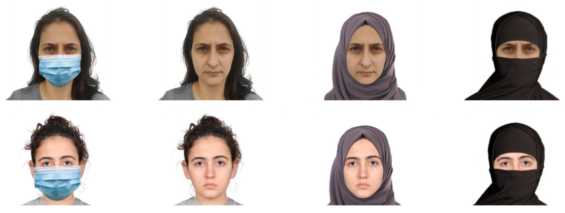 Languages 09 00154 i001a