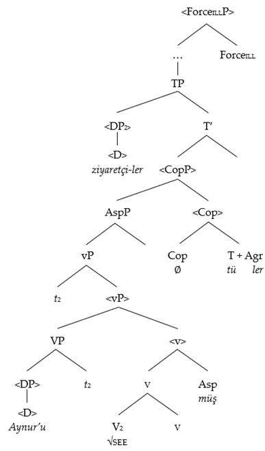 Languages 09 00162 i006
