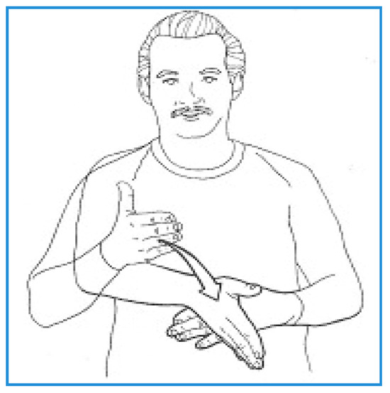 Languages 09 00164 g006