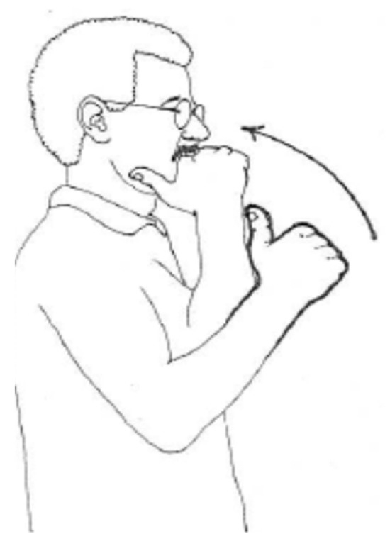 Languages 09 00164 g009