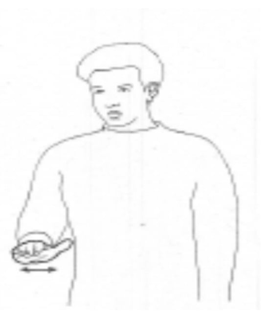 Languages 09 00164 g012