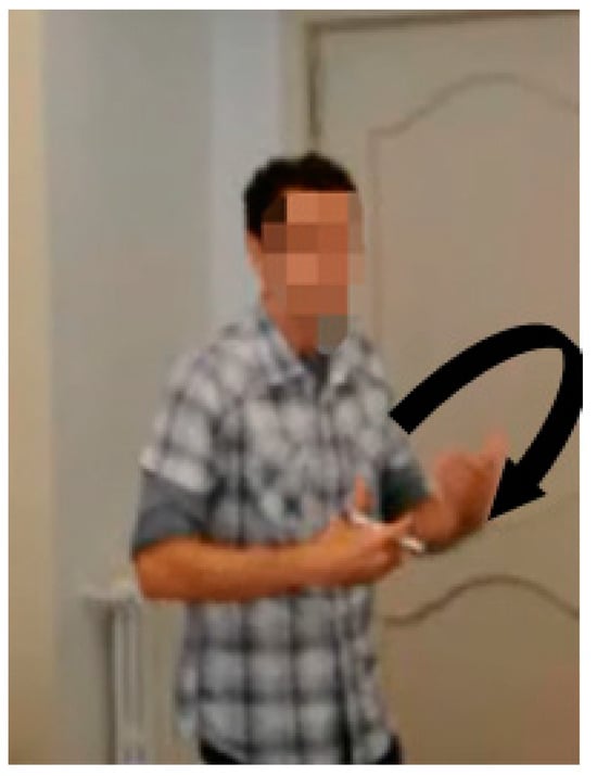 Languages 09 00164 g013