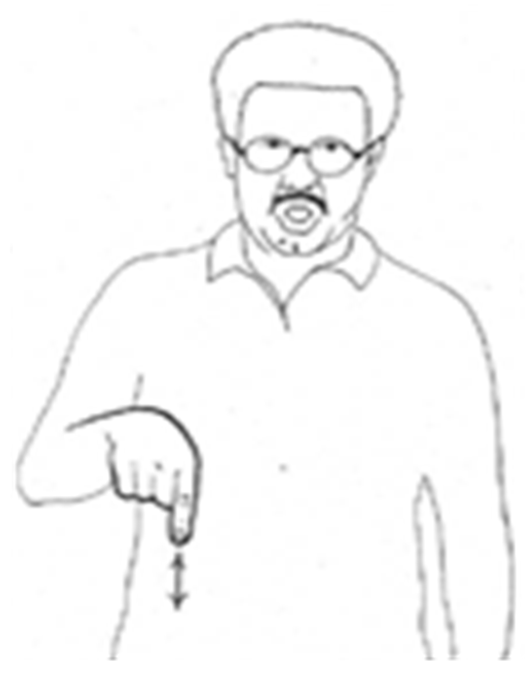 Languages 09 00164 g017