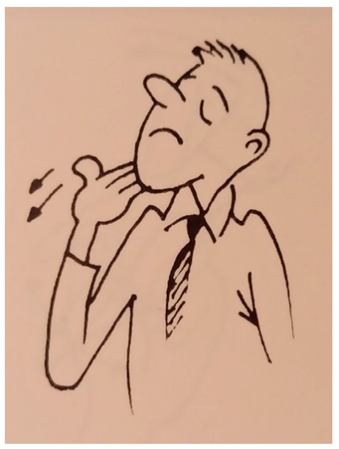 Languages 09 00164 g019