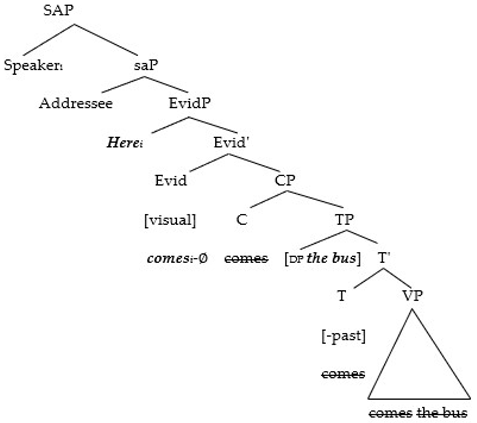 Languages 09 00183 i003