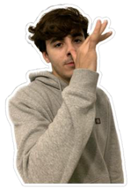 Languages 09 00191 i003