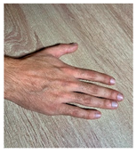 Languages 09 00191 i027