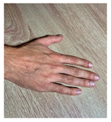 Languages 09 00191 i037