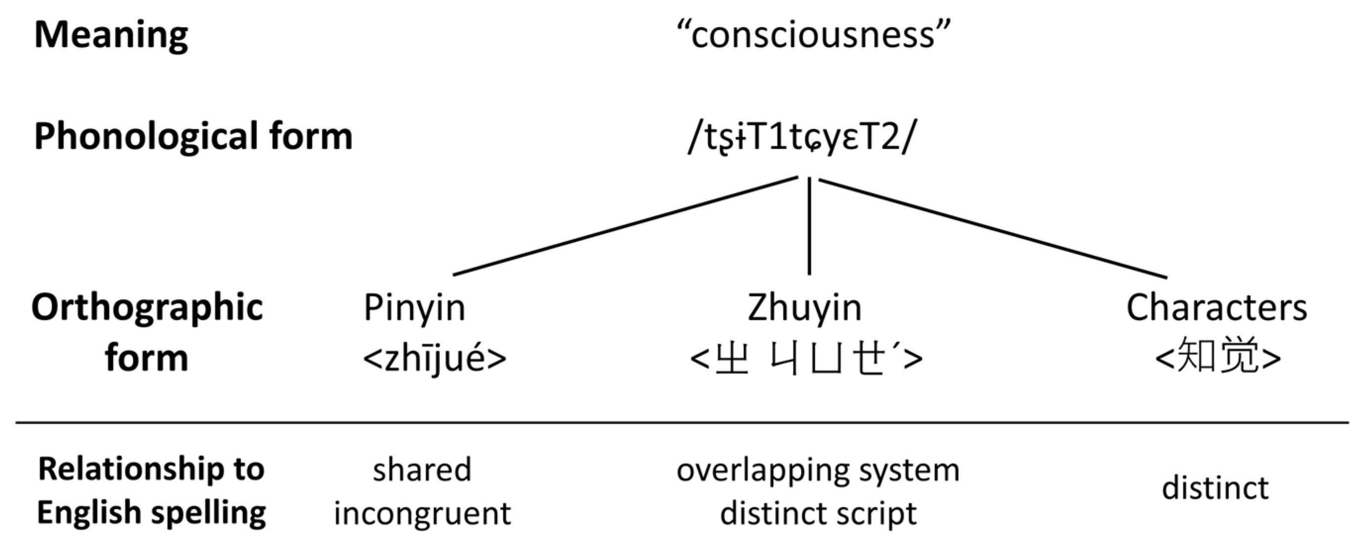 Languages 09 00210 g002