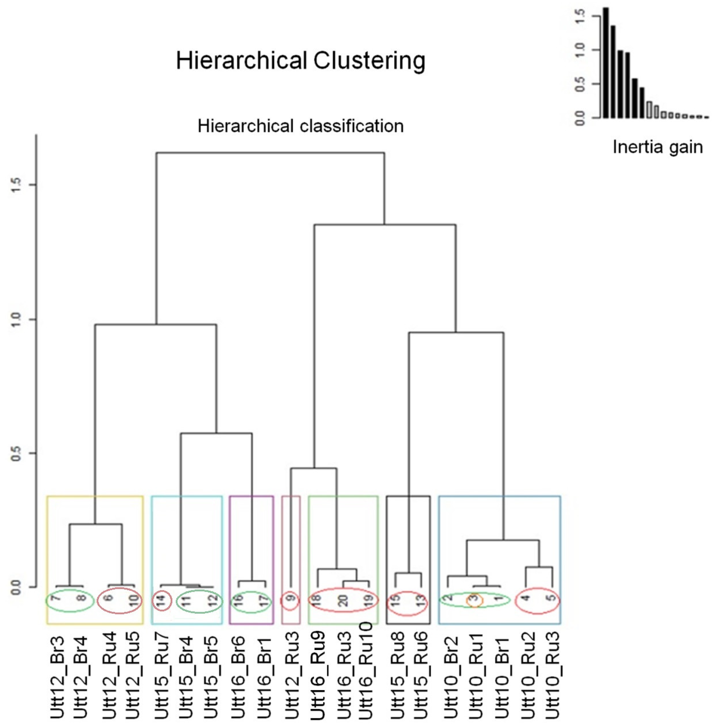 Languages 09 00212 g010