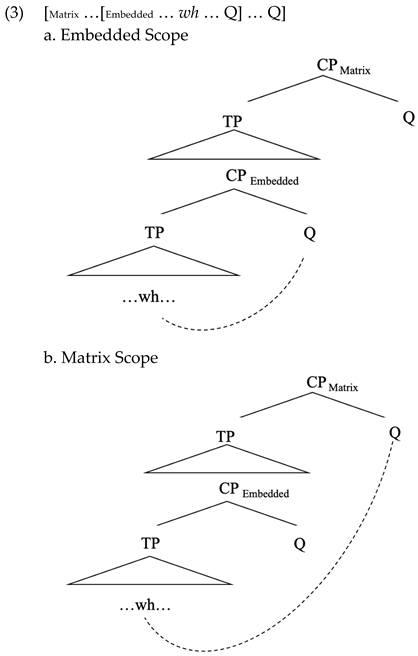 Languages 09 00226 i001
