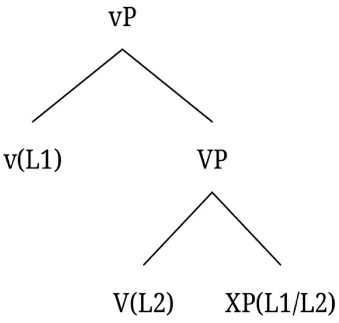 Languages 09 00258 g001