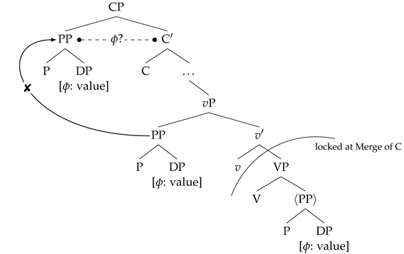 Languages 09 00317 i019