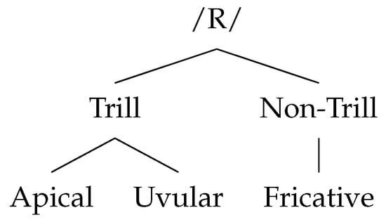 Languages 09 00338 g0a1