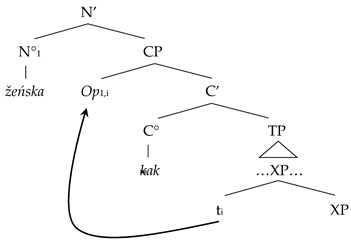 Languages 10 00125 i008