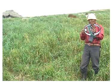 Languages 10 00138 i001 Languages 10 00138 i001