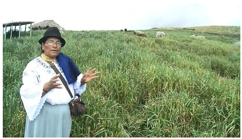 Languages 10 00138 i002 Languages 10 00138 i002