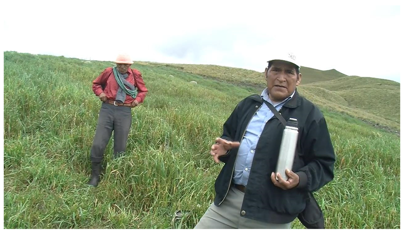 Languages 10 00138 i007 Languages 10 00138 i007