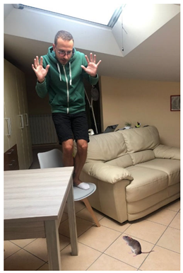 Languages 10 00157 i012