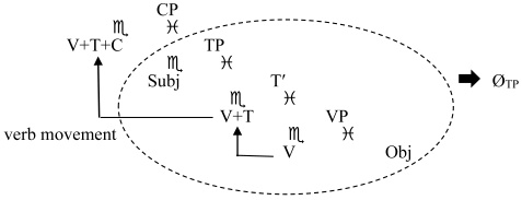 Languages 11 00010 i003