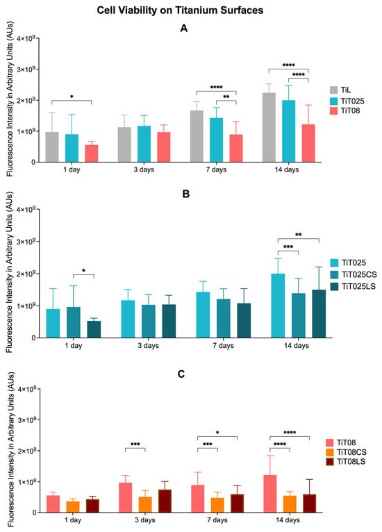 Bar graphs showing osteoblast viability on titanium surfaces. (A) Cell viability on laser-textured titanium samples with two pattern sizes (0.25 and 0.8 mm) compared with the untextured titanium surfaces (TiL). (B) Cell viability following culture on 0.25 mm textured surfaces modified with conventionally sintered (TiT025CS) or laser-sintered (TiT025LS) hydroxyapatite (HA). (C) Cell viability following culture on the 0.8 mm textured surfaces modified with conventionally sintered (TiT08CS) or laser-sintered (TiT08LS) HA coatings. Results are reported as arbitrary units (AUs). Data are presented as mean ± standard deviation (SD); n = 15 per group. Statistical significance: * p < 0.05, ** p < 0.01, *** p < 0.005, and **** p < 0.001.