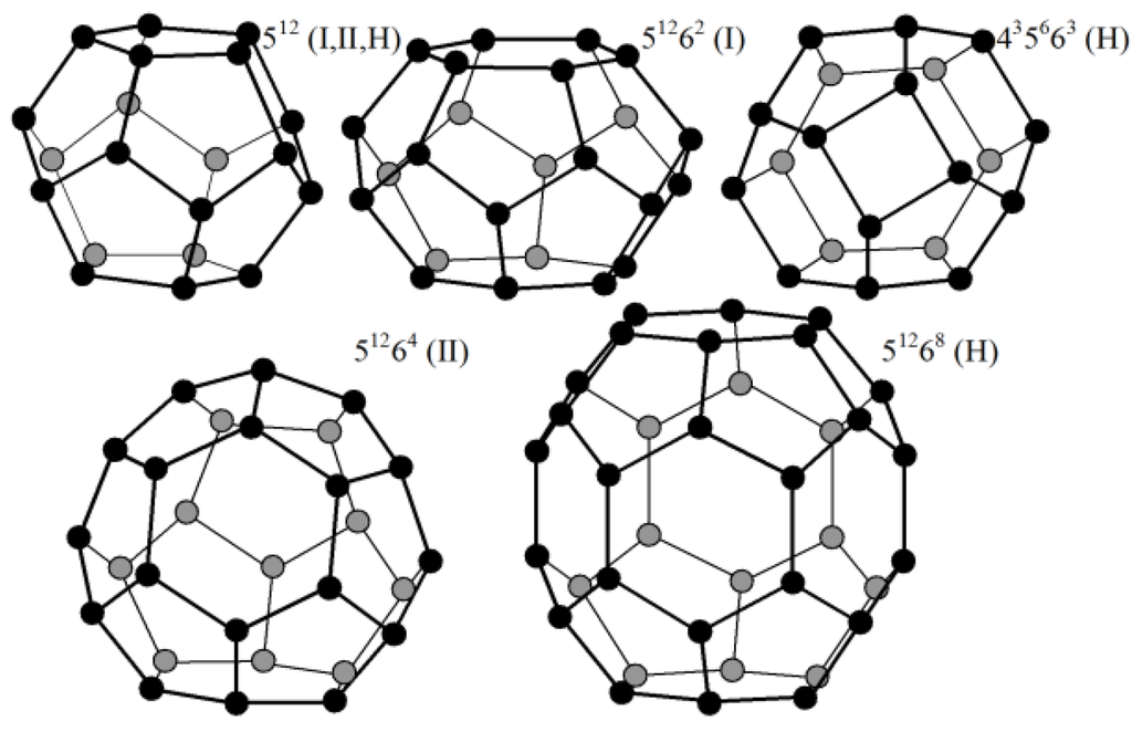 Life 02 00135 g001 1024