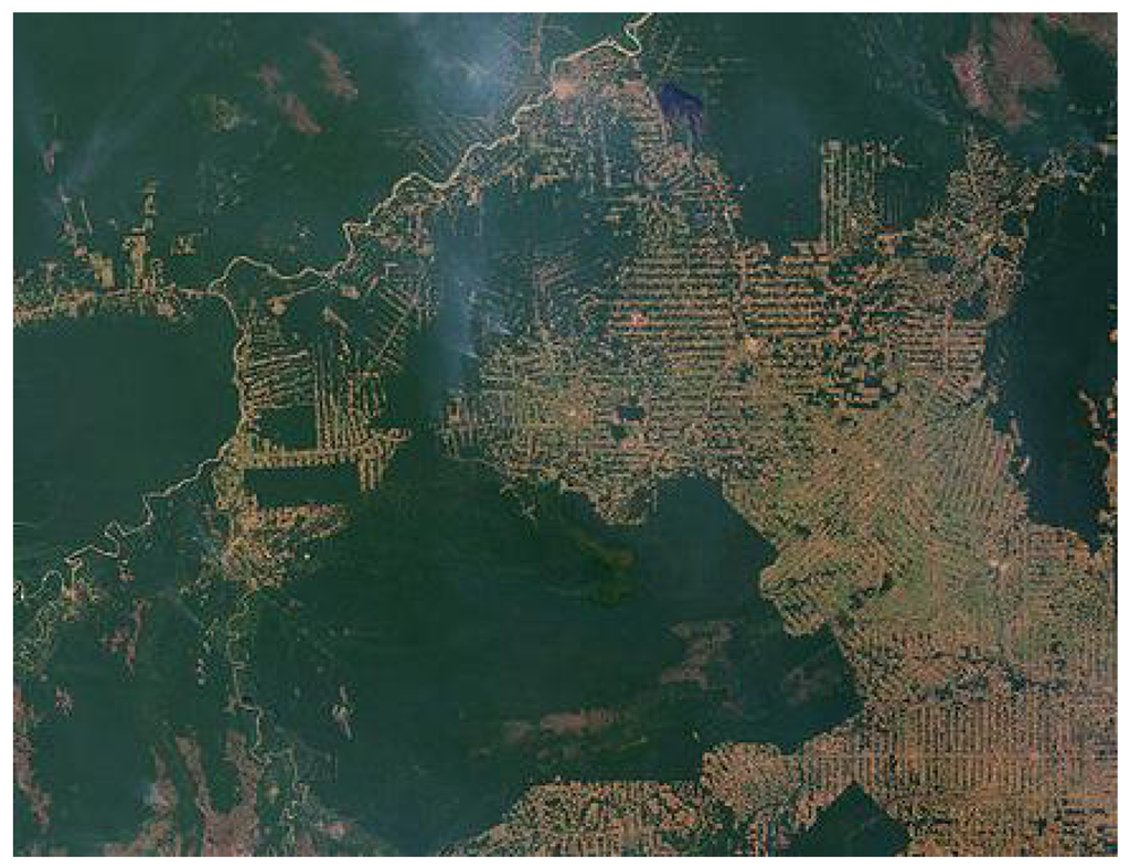 Life 02 00165 g001 1024