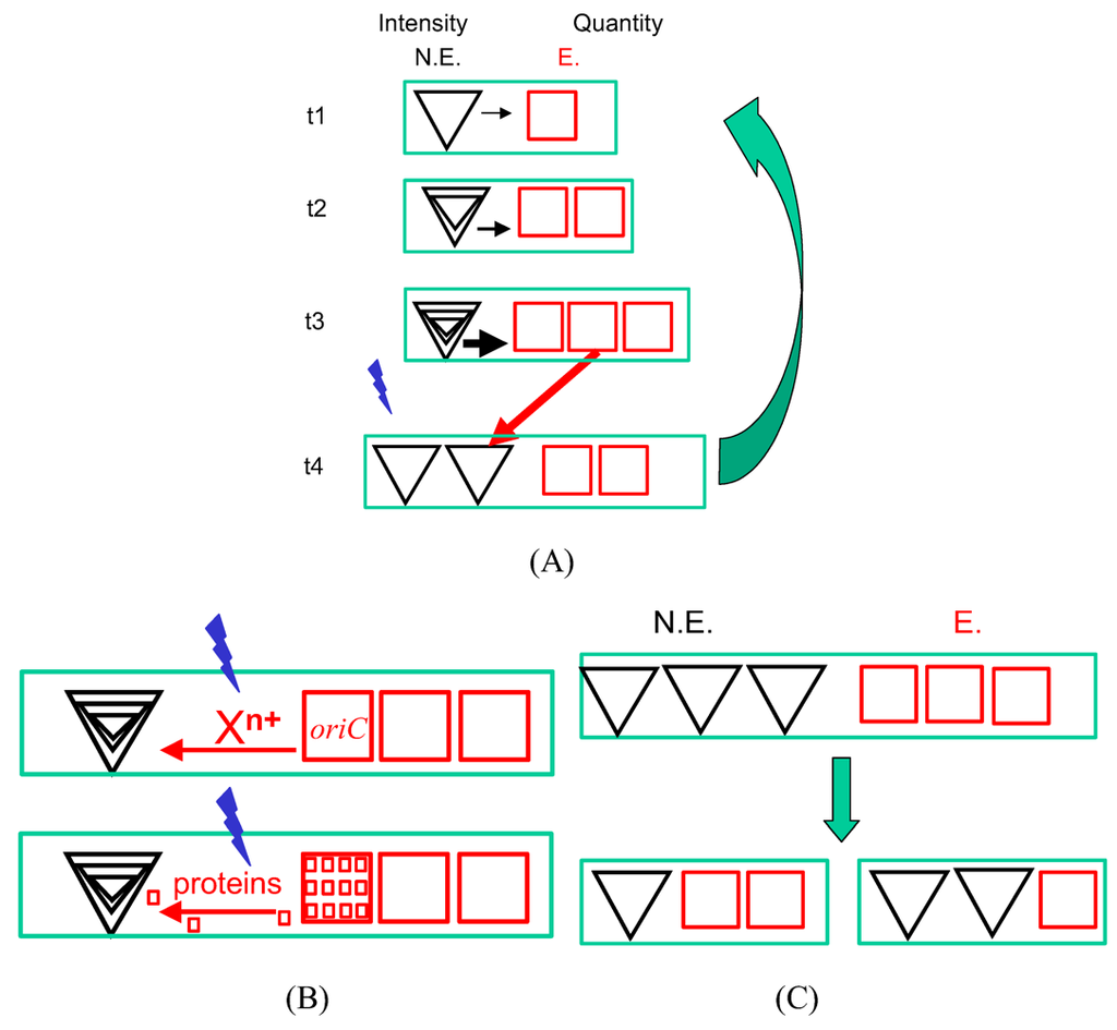 Life 02 00286 g001 1024