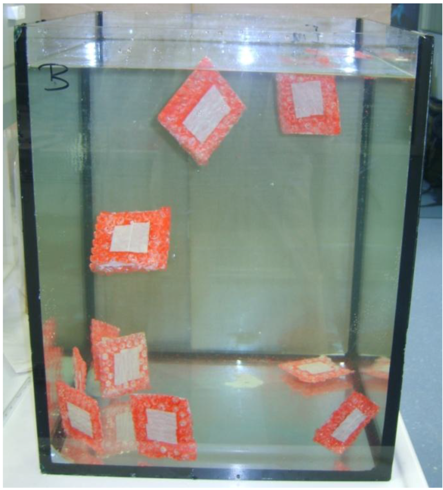 Life 03 00001 g003 1024