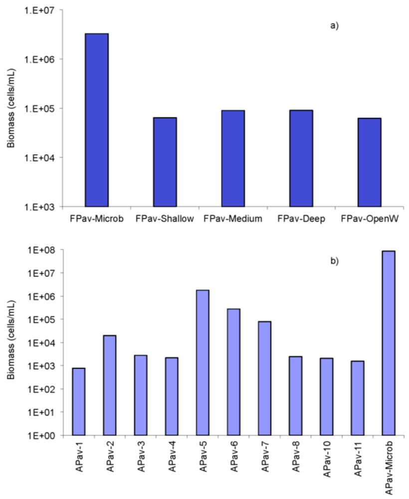 Life 03 00021 g006 1024