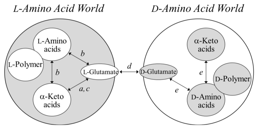 Life 03 00181 g004 1024