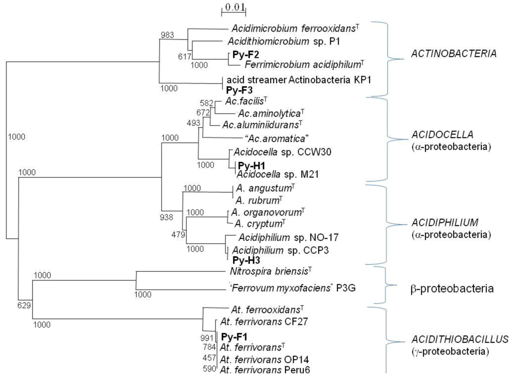 Life 03 00189 g009 1024