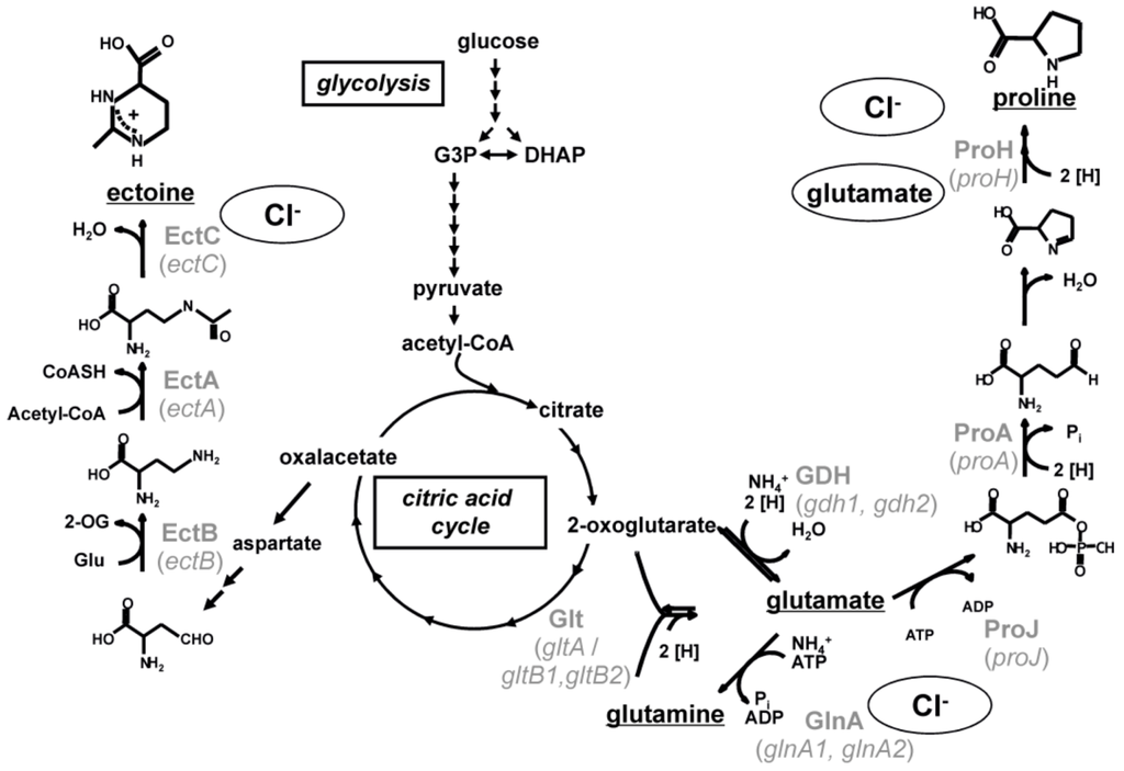 Life 03 00234 g002 1024